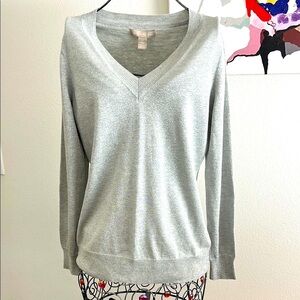 Banana Republic Light Gray V-Neck Sweater